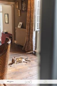 Maisons d'hotes Le clos des Noaillettes : photos des chambres
