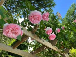 Manoir et Appartements avec piscine au Domaine de Bize Mirepoix