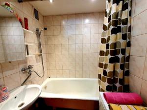 Vilkas Apartment