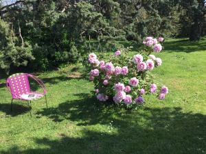 Maisons d'hotes Le clos des Noaillettes : photos des chambres