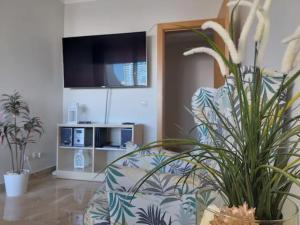 Rocha Dreamhouse 2 - Folgado & Borges Lda