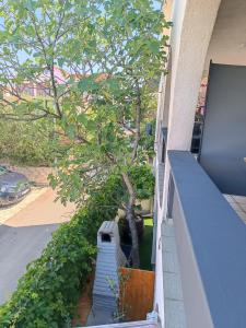 Apartments Branka- 4 apartments in house- 1 apartment has jacuzzi