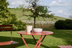 Vue sur les Vignes du Château La Gaffelière - Saint-Émilion Grand Cru