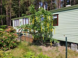 Beautiful holiday home near the pine forest