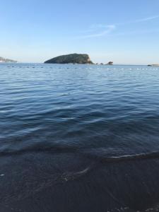 Aegean home budva vojvodanska 16 b stan7