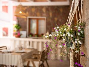 Villa Iole Apartment img26