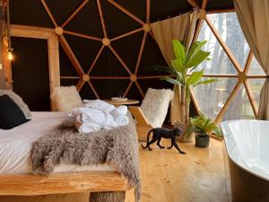 Lodges Whaka Lodge : photos des chambres