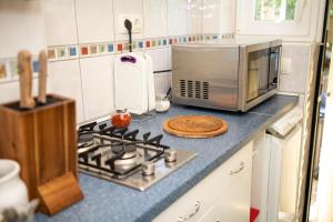 Orgonavirág Apartman