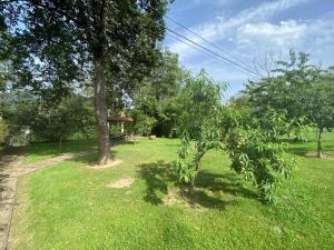 Casa de Los Carpinteros AT-1366-AS