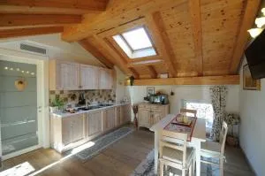 Silvio Guarnieri - Anzù