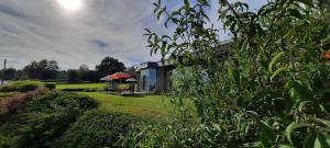 " NEW 2025 " Plein Vent 800m entrée Combes circuit Spa Francorchamps