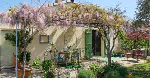 Appartements Pause couleur Lavandula : photos des chambres