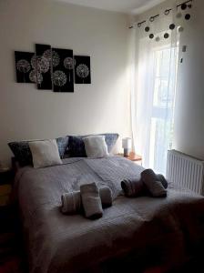 Apartament w Rezydencji Bursztyn