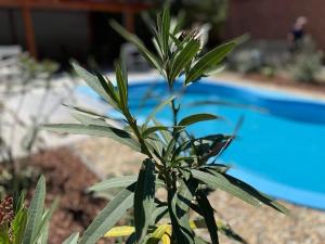 Kovács Apartman Kunfehértó