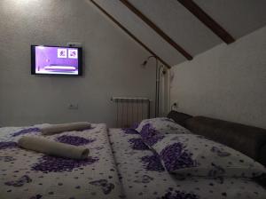 LARIX DURMITORES Apartments