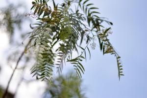 Agriturismo Pepe Rosa