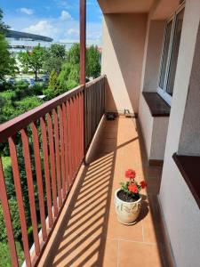 Apartament Korczaka Centrum