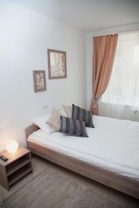Budget Double Room room in Apartment near Russian Museum