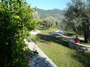 Liossis Rooms & Apartments Skopelos Greece