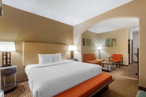 King Suite - Non-Smoking room in Best Western Plus DFW Airport Suites