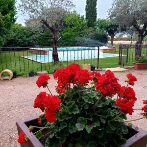 Maisons de vacances les trois figuiers mas provencal : photos des chambres