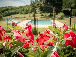 Maisons de vacances Gite Les Vitarelles : photos des chambres