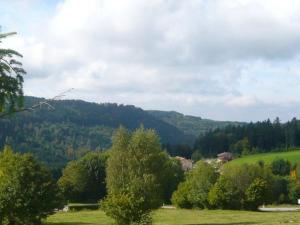 Gîte à la montagne avec cheminée, wifi et joli terrain - FR-1-589-179