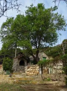 Apartment Zrinka - Otok Vis