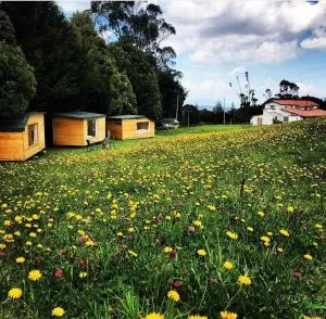 HOBU MONTAÑA - El Alto