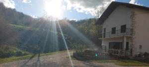 Apartma pr Ivani Miškorinovi