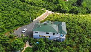 Luxury Nature Life Villa