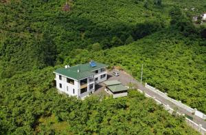 Luxury Nature Life Villa