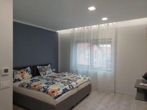 Blue Central House, curte proprie