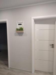 Blue Central House, curte proprie