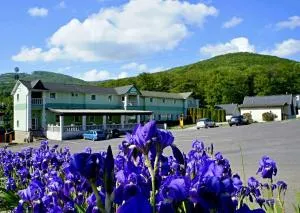 Hotel Biele Studničky Dargov - 特雷比绍夫