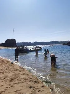 Les chambres d'hôtes du port de loguivy de la mer - Loguivy-Plougras