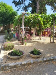 Maisons de vacances maison gros pata : photos des chambres