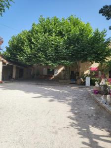 Maisons de vacances maison gros pata : photos des chambres