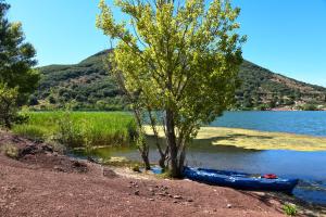 Villas Canet Galonbas : photos des chambres