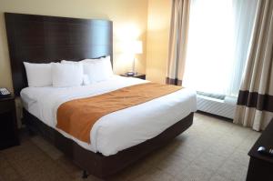 King Suite with Sofa Bed - Disability Access/Non-Smoking room in Comfort Suites Houston Northwest Cy-Fair