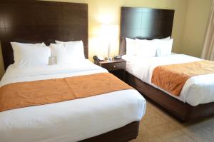 Queen Suite with Two Queen Beds room in Comfort Suites Houston Northwest Cy-Fair