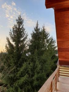 Casa Alin Poiana Mărului