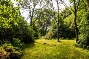 Hotel, Restaurant, Café Pharisäerhof - Nordseeurlaub mit Hund