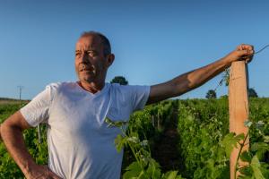 B&B / Chambres d'hotes Suite campagnarde de 40 m2 avec vue sur les vignes au Chateau Camponac : photos des chambres