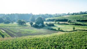 B&B / Chambres d'hotes Suite campagnarde de 40 m2 avec vue sur les vignes au Chateau Camponac : photos des chambres