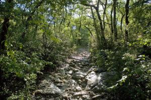 Maisons de vacances Ecogite dans les Cevennes Ardechoises : photos des chambres