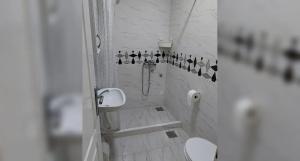 Vila Srbija