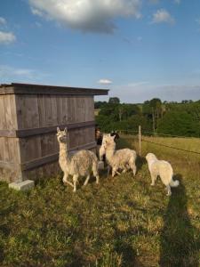 Sejours chez l'habitant Les Chemins d'Ambre et Thais : photos des chambres