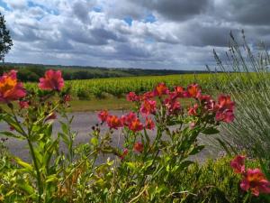 Les Chemins dAmbre et Thaïs