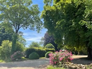 Maisons de vacances Domaine Des Loches **** : photos des chambres